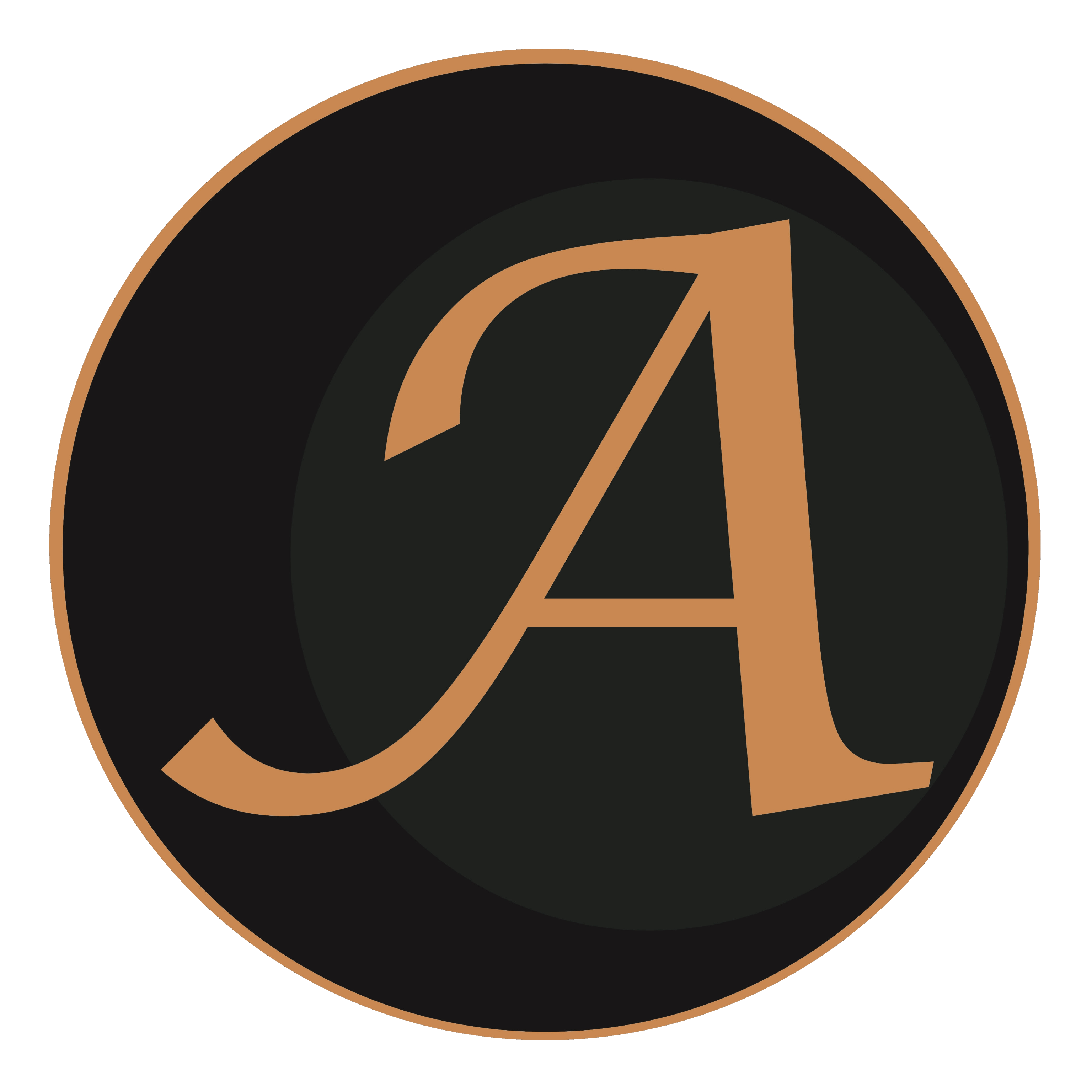 Logo of Aaden Detective Agency Stuttgart; Detective in Stuttgart, Corporate Detective in Stuttgart, Private Investigator in Stuttgart